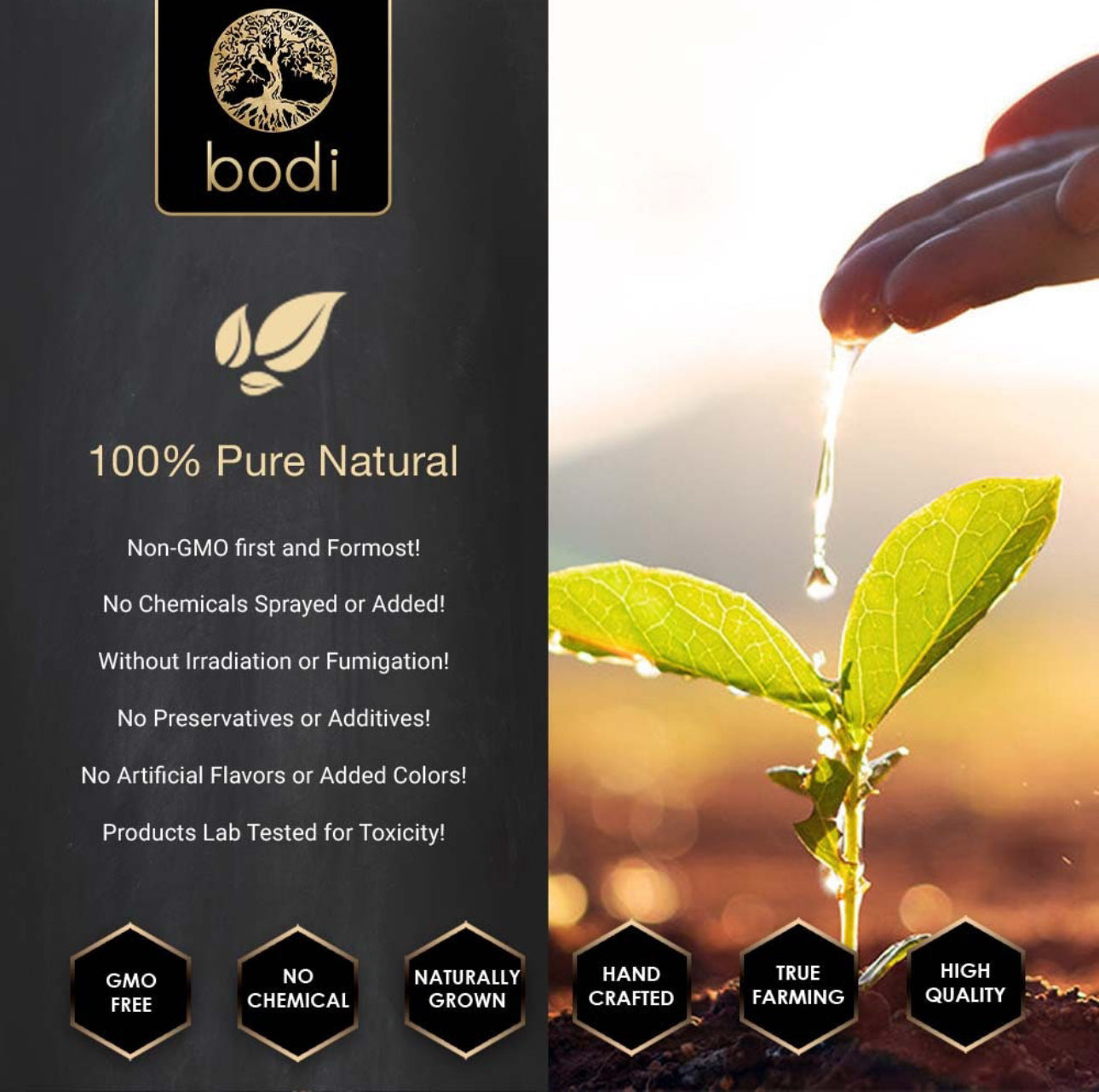 100% Organic Cordyceps Mushroom