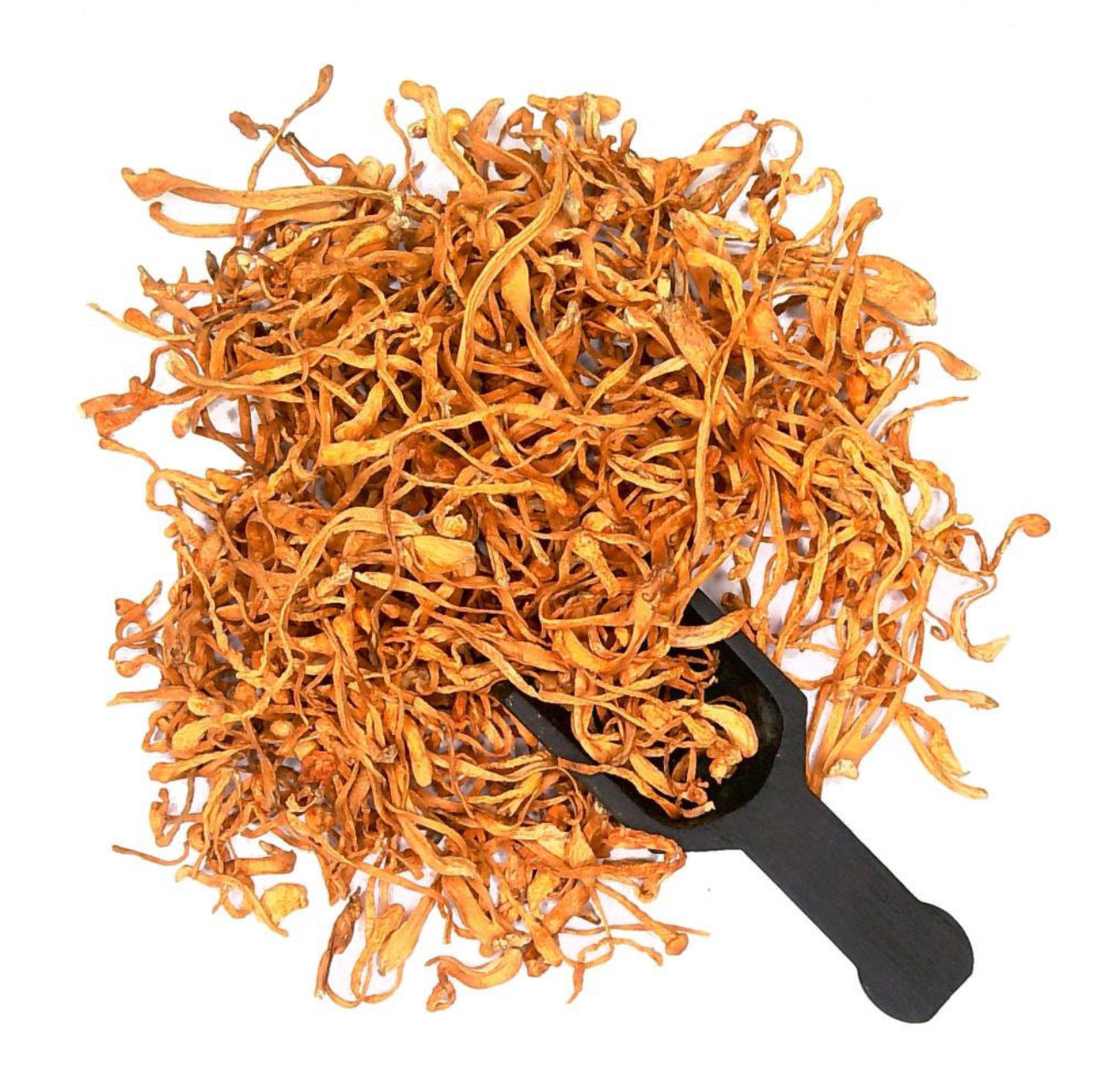 100% Organic Cordyceps Mushroom
