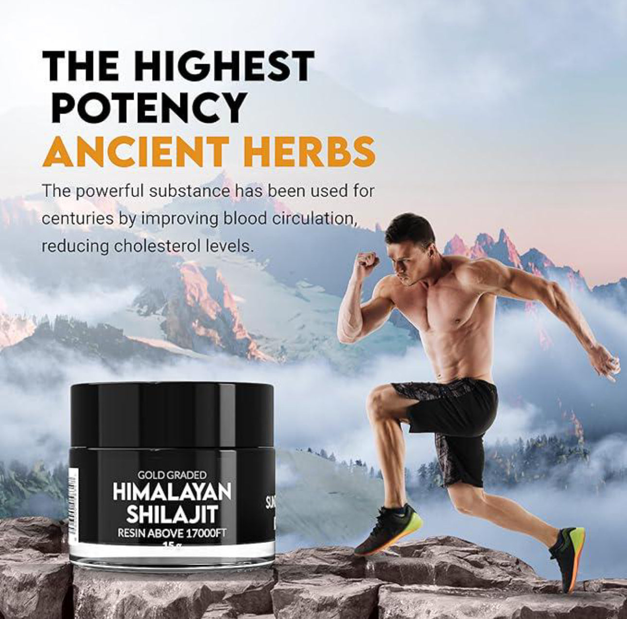 Himalayan Shilajit(3oz)
