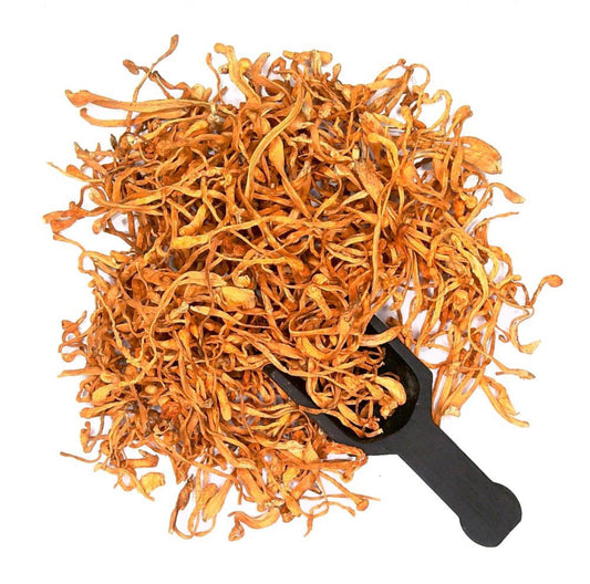 100% Organic Cordyceps Mushroom